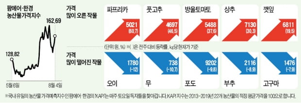 잦은 비에 작황 부진…'金배추' 계속되나