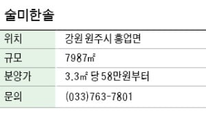 술미한솔, 저수지 바라보는 원주 정남향 주택용지