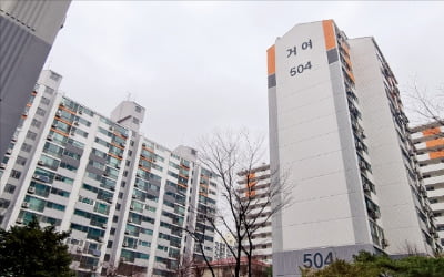 송파 남동부 10여곳 리모델링 속도낸다