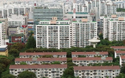 '뒤집힌' 노원 집값…상승 1위서 하락폭 1위