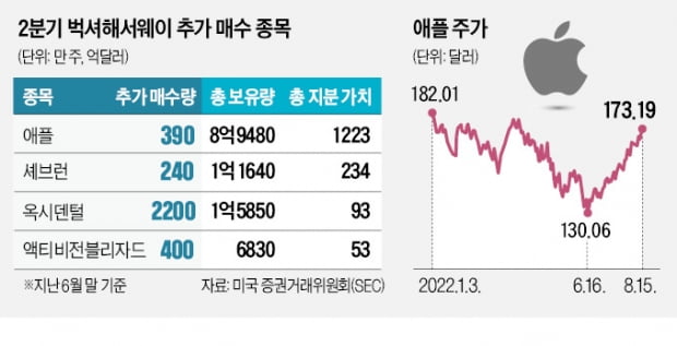 버핏은 추가 매수하고 버리는 '쇼트 포지션' 청산…투자 고수들, 애플에 '엄지 척' 