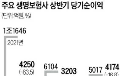 금리 뛰자 생보사 '비명'…상반기 순익 줄줄이 반토막