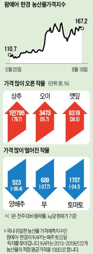 폭우에 초토화된 상추밭…1주일새 가격 80% 뛰었다