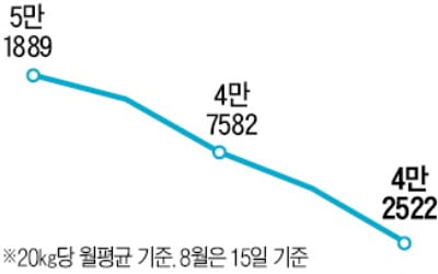 쌀값 폭락에…정부 매입 '강제'하자는 농해수위