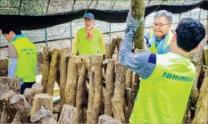 농협은행, 부여 지역 수해복구 지원