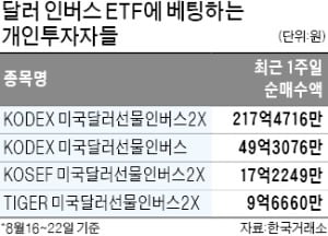 개미는 '환율 하락'에 베팅…인버스 ETF로 달려갔다