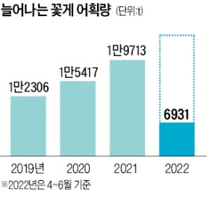 폭우가 불러 온 꽃게 풍년?…어획량 8년만에 최대