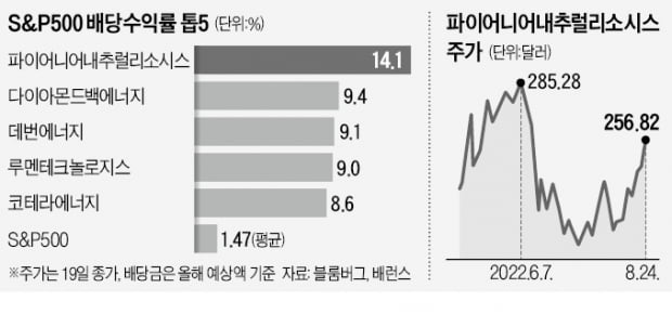 배당수익률이 14% 넘는다고?…'증시 피난처'된 美 에너지기업