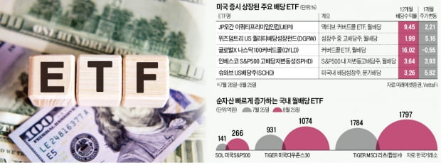 매월 따박따박…'증시 안전판' 된 배당 ETF