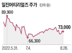 "3조 밑으론 안팔겠다"…일진머티리얼즈 매각 '기로'