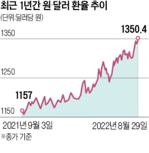 달러값 20년來 최고…"지금 신규 투자하기엔 리스크 크다"