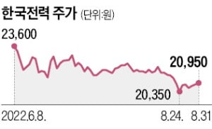 전력판매시장 '한전 독점' 깨진다