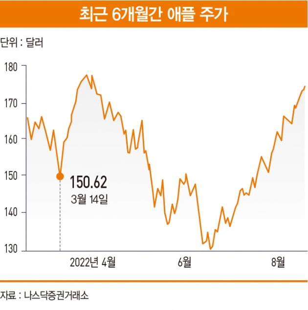 한국인이 사랑한 ‘빅테크주’의 주가 상승 비밀