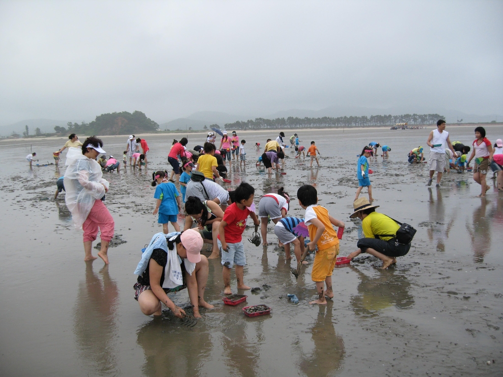 바지락 캐고 갯벌 체험도 하고…2년 만에 열리는 '고창갯벌축제'