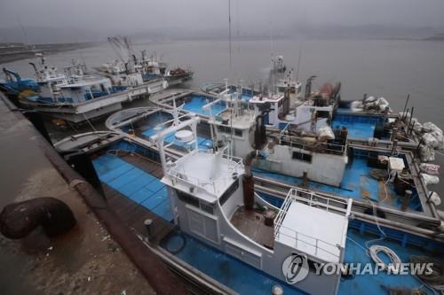 인천 호우경보 해제…옹진은 호우주의보 해제