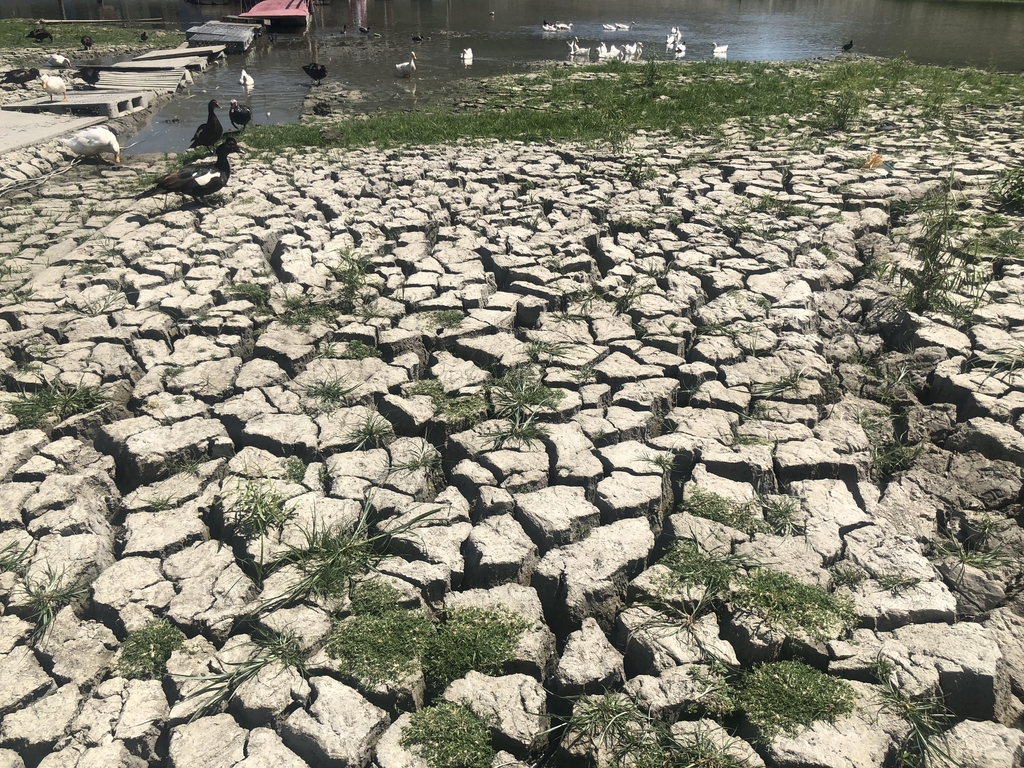[기후위기현장을 가다] 저수지도 수도꼭지도 말랐다…멕시코 강타한 가뭄