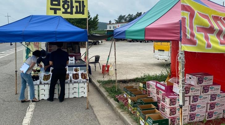 '원산지 거짓표시 꼼짝마'…해남군, 도로변 판매장 특별 단속