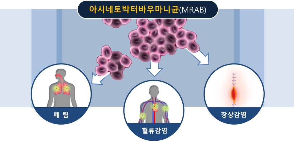 슈퍼박테리아 대응 천연항생물질 개발…"기존 항생제 대체 기대"