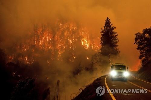 숲가꾸기 탄소저장 효과 산불로 공장 CO₂ 배출 정당화 못 해