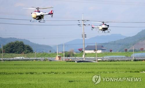 익산시, 여의도 55배 면적서 벼 병해충 공동 방제