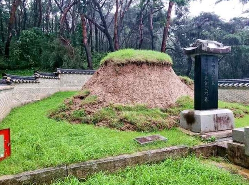 [중부 집중호우] 천연기념물 나무·왕릉·남한산성…문화재 곳곳 상처(종합)