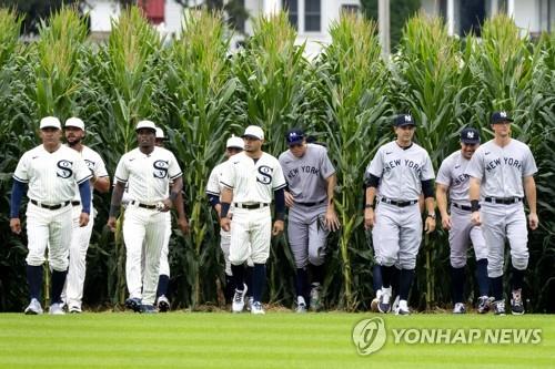 MLB 컵스-레즈, 美 중서부 옥수수밭 야구장서 '꿈의 구장' 시즌2