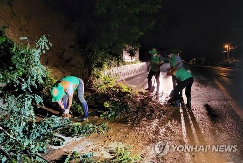 세종서 집중호우로 시설피해 65건 발생…대부분 복구 마쳐