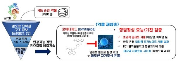 KAIST "콜레스테롤 치료제 로미타피드, 항암효과도 있어"