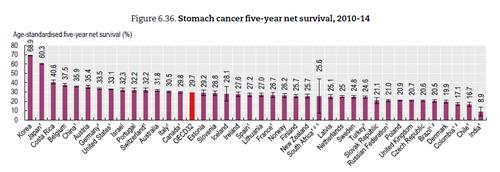 [팩트체크] 위암 치료는 우리나라가 세계 1등이다?