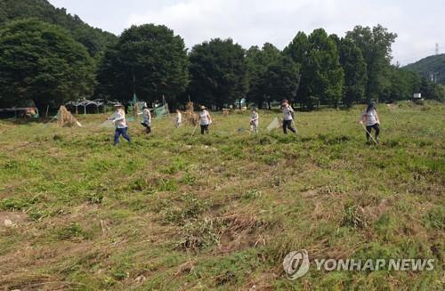 중부지방 수해 복구에 비지땀…해수욕장은 피서객 인산인해