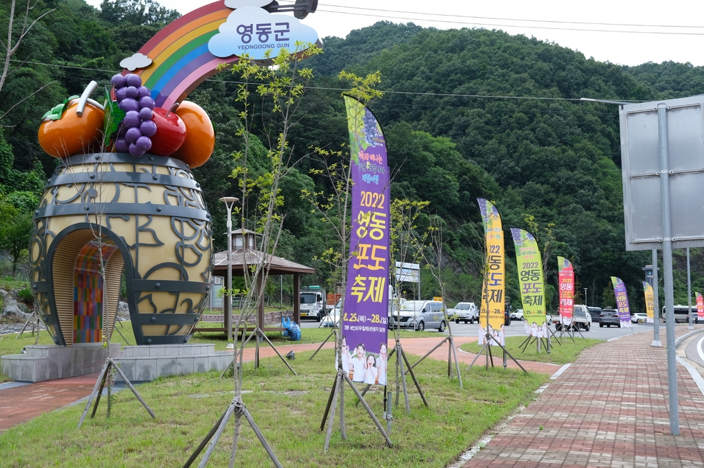 포도향 가득한 영동포도축제, 손님맞이 준비 '착착'