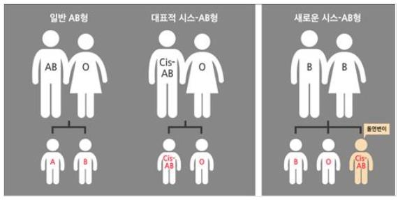 [팩트체크] 부모 혈액형이 모두 B형인데 자녀가 A형일 수 있다?