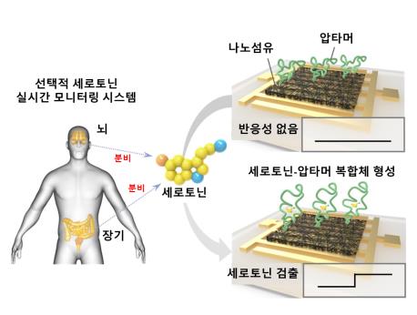 생명연, 우울증 정도 실시간 측정하는 바이오센서 개발