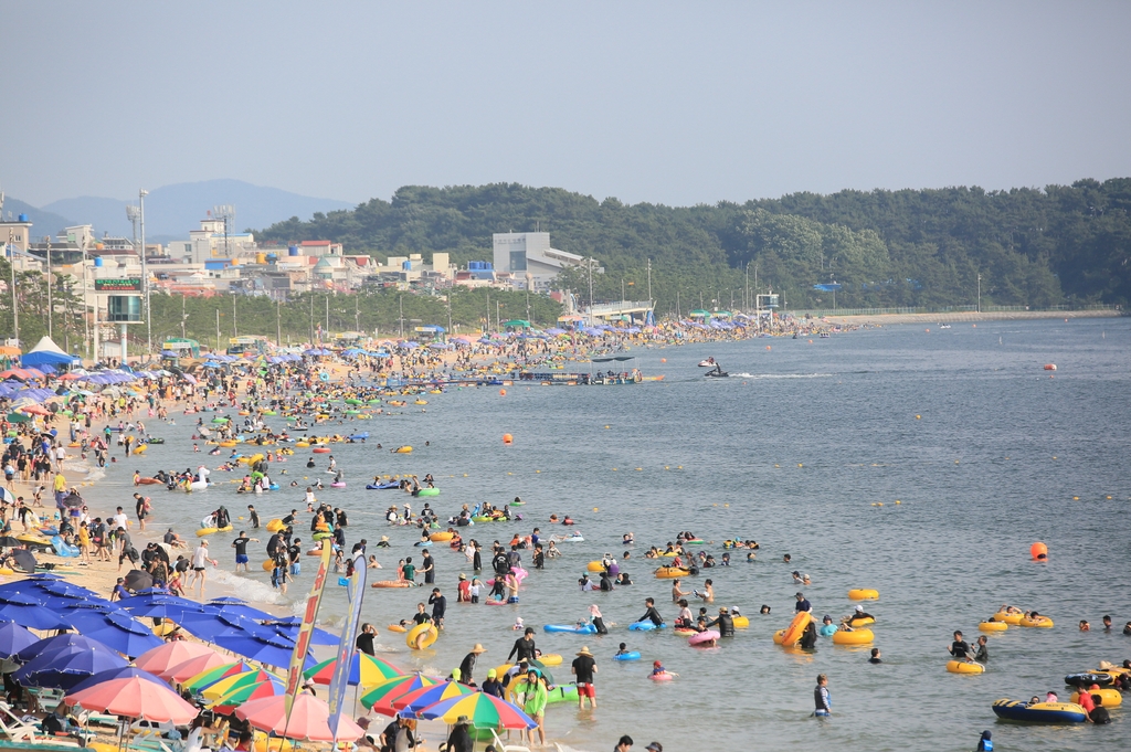 올여름 보령 대천해수욕장 피서객 447만여명…박람회 흥행 영향