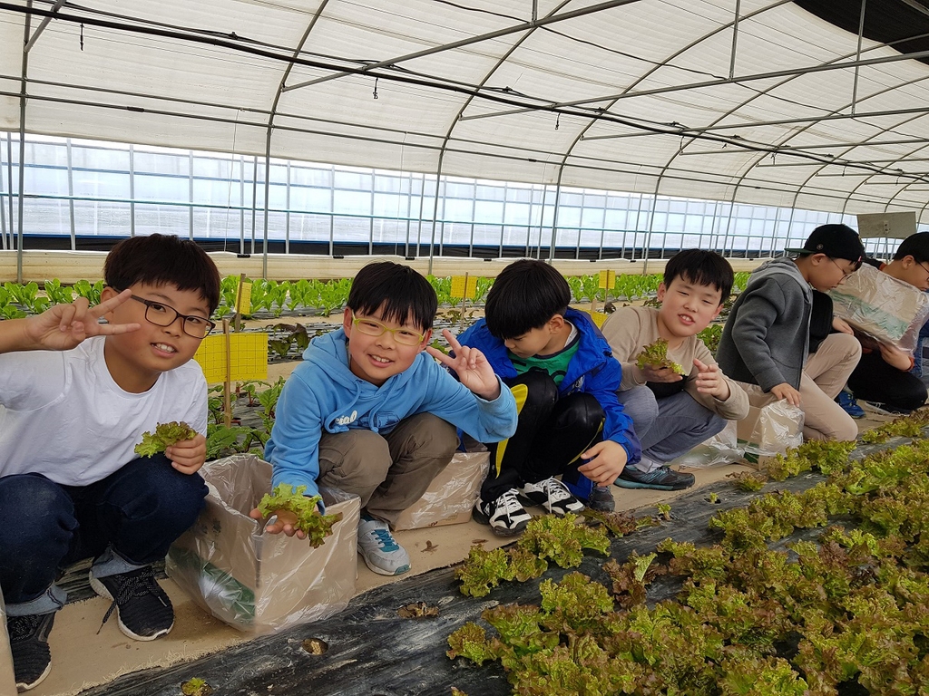 전남 농촌체험마을 이용하면 농수산물 할인 혜택 제공