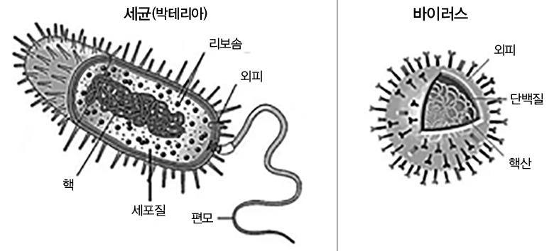 끝나지 않는 전염병 시대, 지리적 분석으로 해답을 찾다