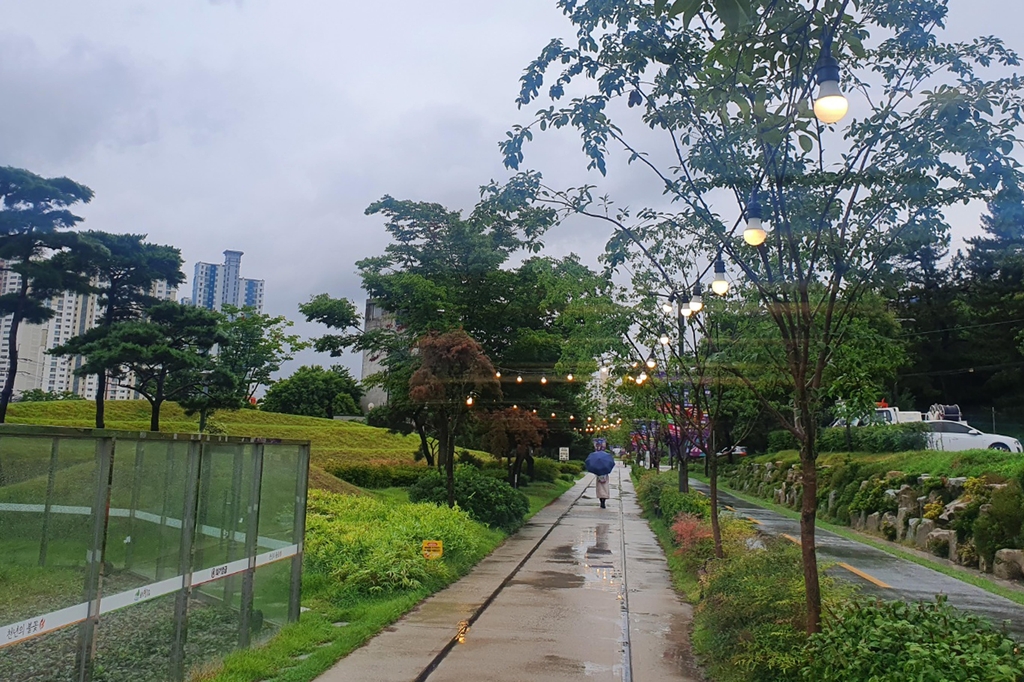 여름밤 포항 철길숲 걸으며 공연·체험 즐기세요