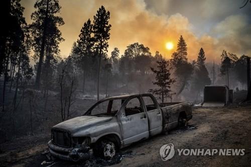 "세계 산불 악화…삼림 소실 20년 전의 두 배"