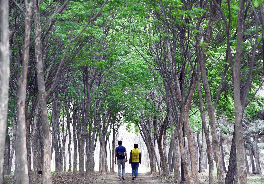 시흥 배곧한울공원∼곰솔누리숲…전국 10대 플로깅 코스에 선정