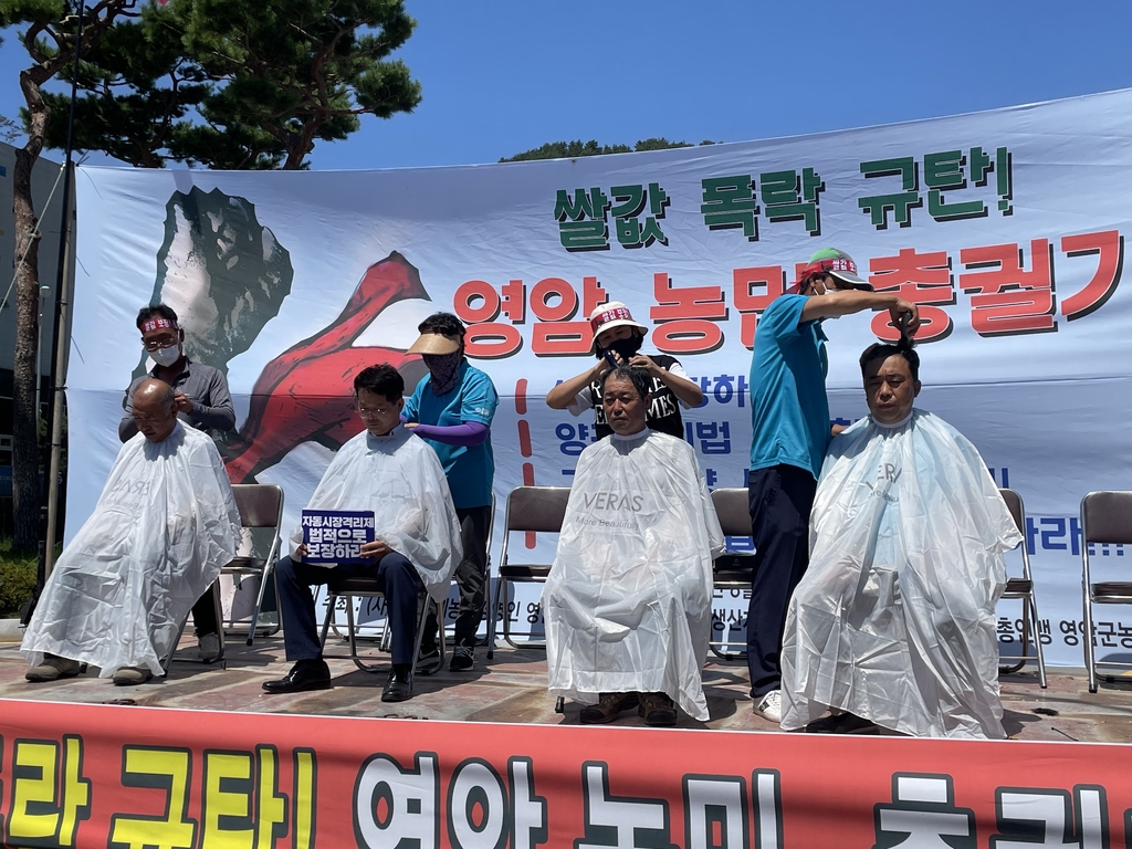 전남 영암 농민들 삭발 시위 "쌀값 폭락 더이상 안돼"