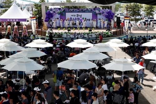 화성 궁평항서 내달 3∼4일 송산포도축제…3년 만에 개최