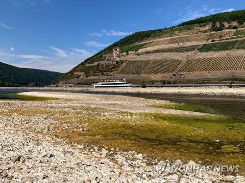 "메마른 강물에 멈춰선 배"…최악 가뭄에 유럽 리버크루즈 차질