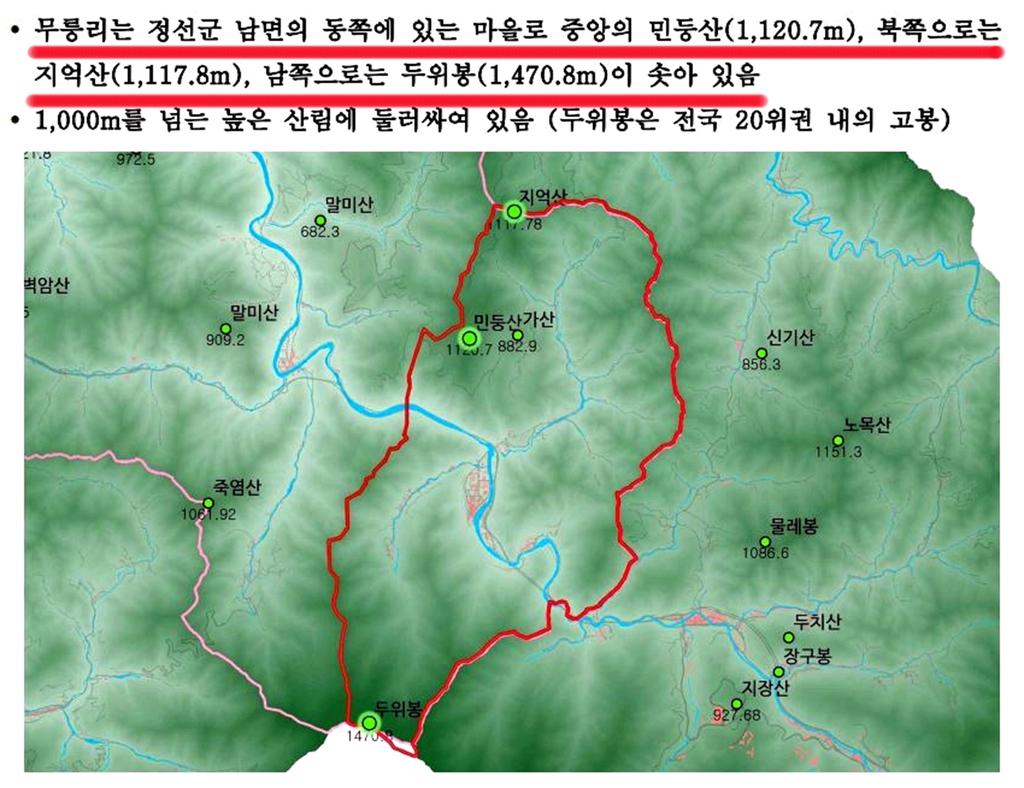 정선 남면 무릉리, 은빛 물결 출렁이는 '세계 억새마을' 된다