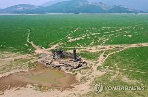 중국 농업보조금 1조9천억원 추가 지원