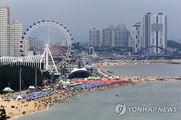 올 여름 600만명 찾았다…강원도 해수욕장 '북적'