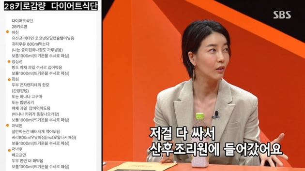 [TEN피플]  "출산 40일 만에 28kg 감량 식단"…진서연→황정음, 남다른 다이어트 비결