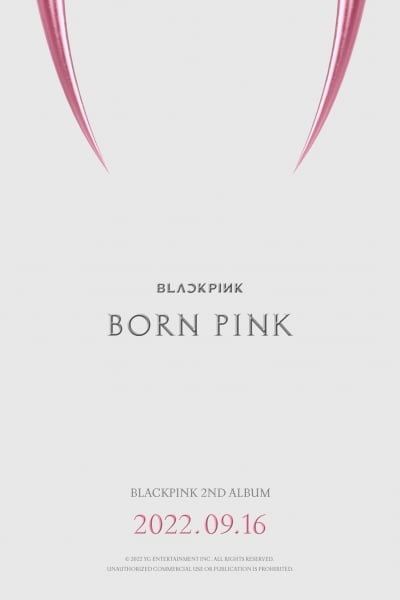 [공식] 블랙핑크, 9월 16일 정규 2집 발표…YG "태생부터 다르다는 자신감"