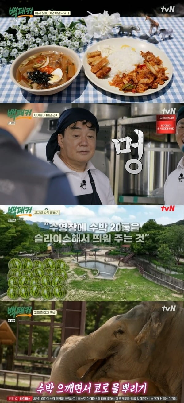 사진=tvN '백패커' 방송 화면.