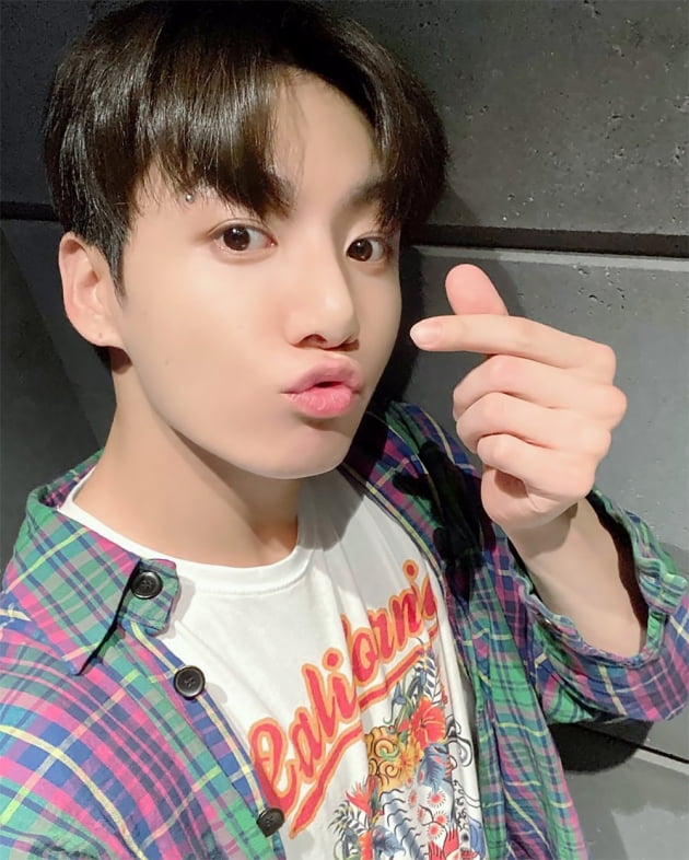 방탄소년단 정국, '생일 기부 릴레이' 야생 동물 15,000마리 후원·바다 거북 둥지 입양