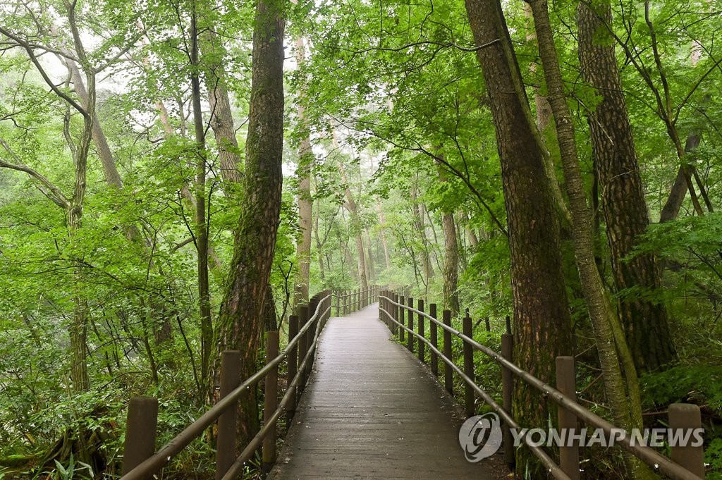 국립공원 치악산 자락 중장비로 훼손…기업형 농사 60대 실형